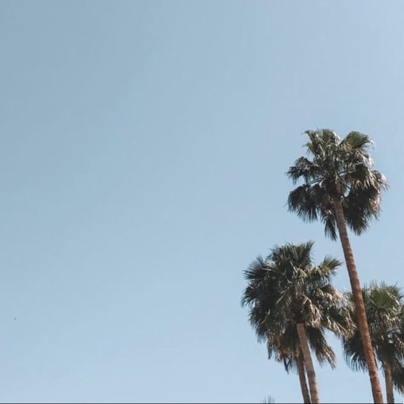 Meet your Posher, Megan - Picture 1 of 1